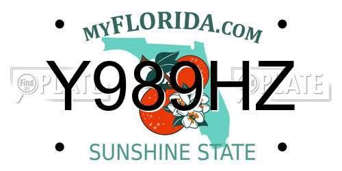 Y989HZ Florida License Plate