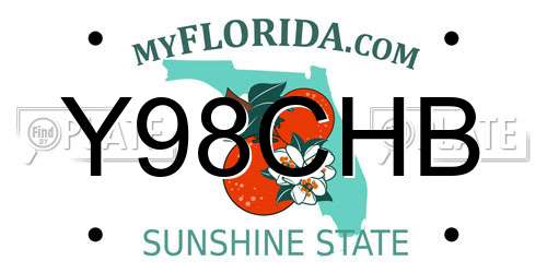 Y98CHB Florida License Plate