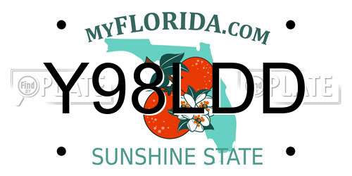 Y98LDD Florida License Plate