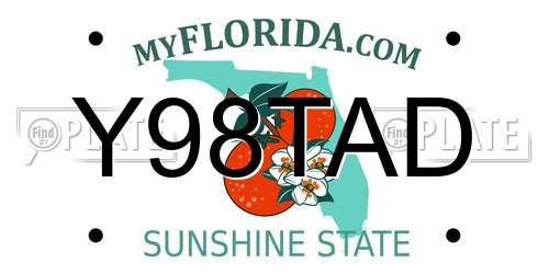 Y98TAD Florida License Plate