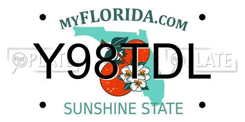 Y98TDL Florida License Plate