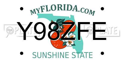 Y98ZFE Florida License Plate