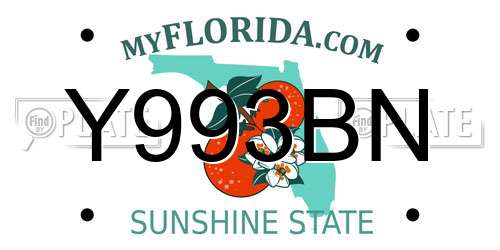 Y993BN Florida License Plate