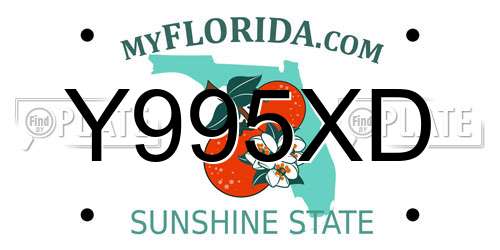 Y995XD Florida License Plate