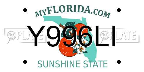 Y996LI Florida License Plate