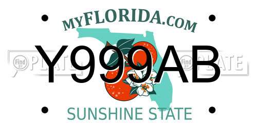 Y999AB Florida License Plate