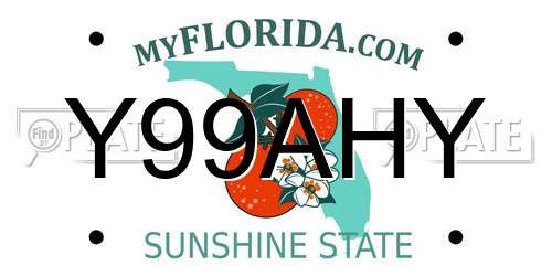 Y99AHY Florida License Plate