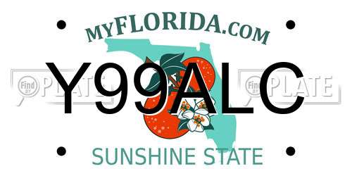 Y99ALC Florida License Plate