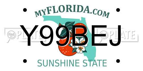 Y99BEJ Florida License Plate