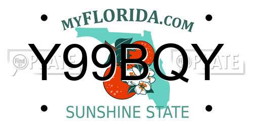 Y99BQY Florida License Plate