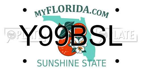 Y99BSL Florida License Plate