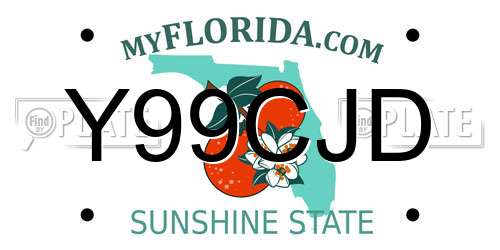 Y99CJD Florida License Plate