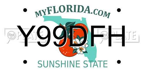 Y99DFH Florida License Plate