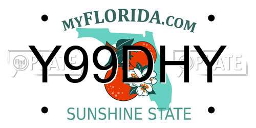 Y99DHY Florida License Plate