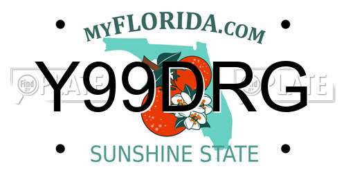Y99DRG Florida License Plate