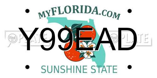Y99EAD Florida License Plate