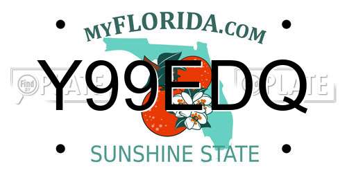 Y99EDQ Florida License Plate