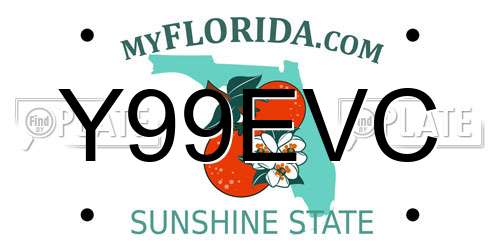 Y99EVC Florida License Plate