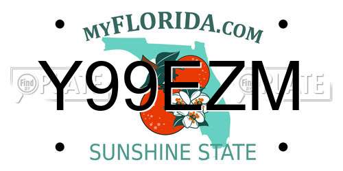Y99EZM Florida License Plate