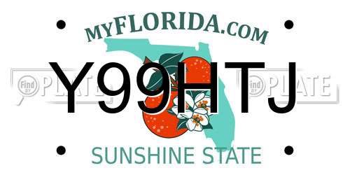 Y99HTJ Florida License Plate