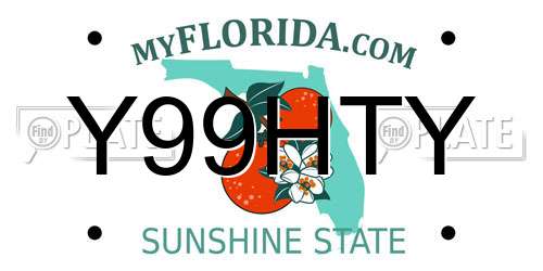 Y99HTY Florida License Plate