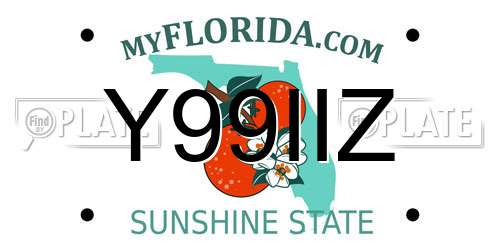 Y99IIZ Florida License Plate