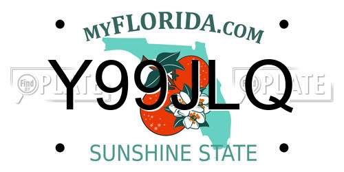 Y99JLQ Florida License Plate