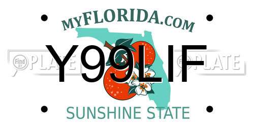 Y99LIF Florida License Plate