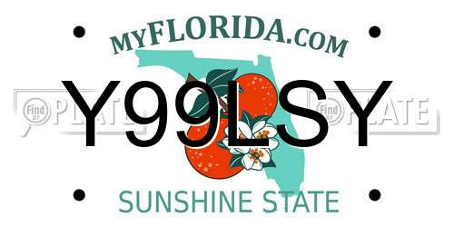 Y99LSY Florida License Plate