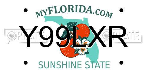 Y99LXR Florida License Plate