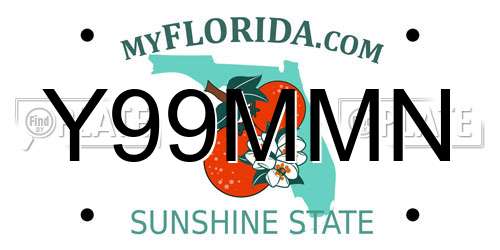 Y99MMN Florida License Plate