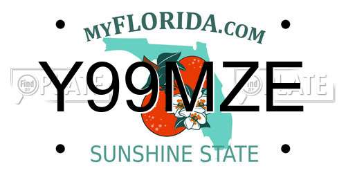 Y99MZE Florida License Plate