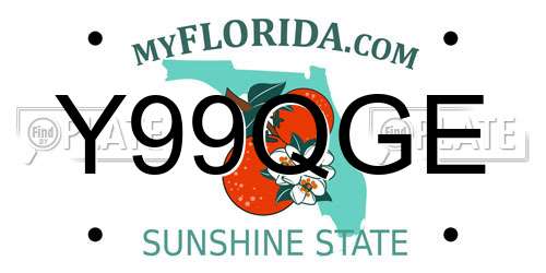 Y99QGE Florida License Plate