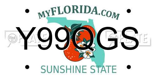 Y99QGS Florida License Plate