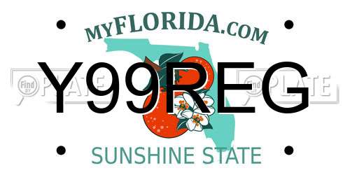 Y99REG Florida License Plate