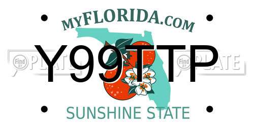 Y99TTP Florida License Plate