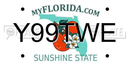 Y99TWE Florida License Plate