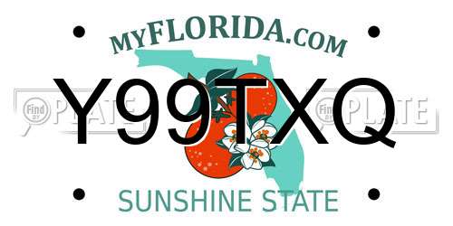 Y99TXQ Florida License Plate
