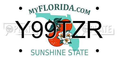 Y99TZR Florida License Plate