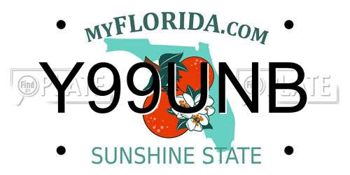 Y99UNB Florida License Plate