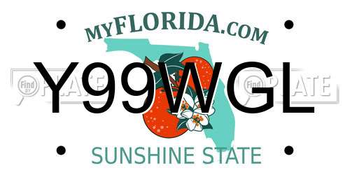 Y99WGL Florida License Plate