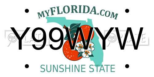 Y99WYW Florida License Plate