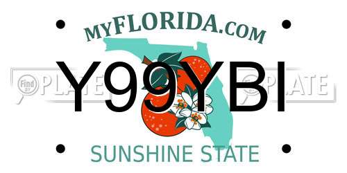 Y99YBI Florida License Plate