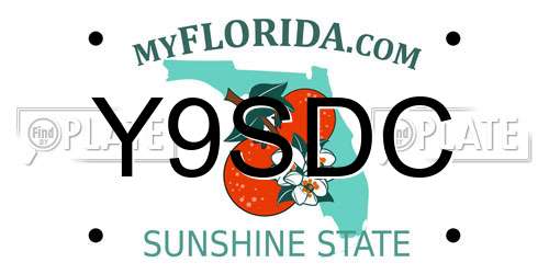 Y9SDC Florida License Plate