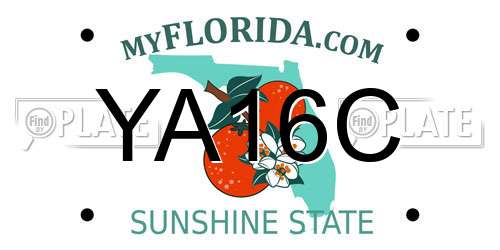 YA16C Florida License Plate