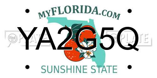 YA2G5Q Florida License Plate