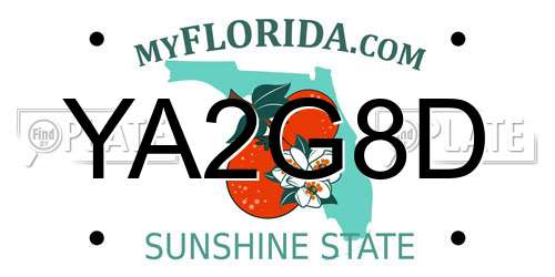 YA2G8D Florida License Plate