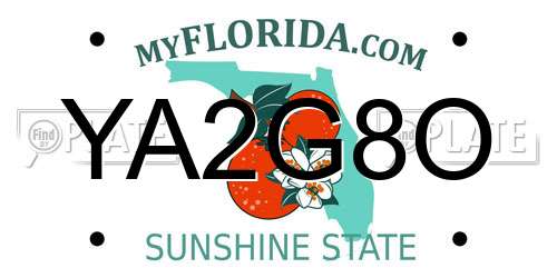 YA2G8O Florida License Plate