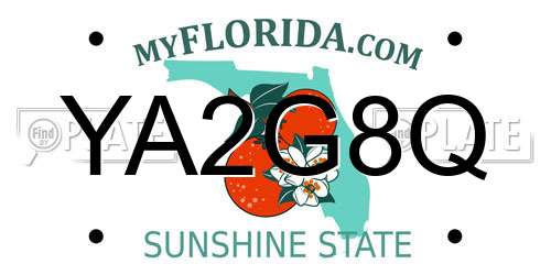 YA2G8Q Florida License Plate