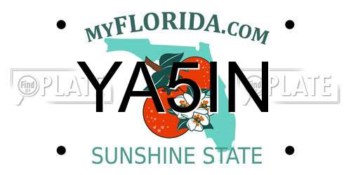 YA5IN Florida License Plate